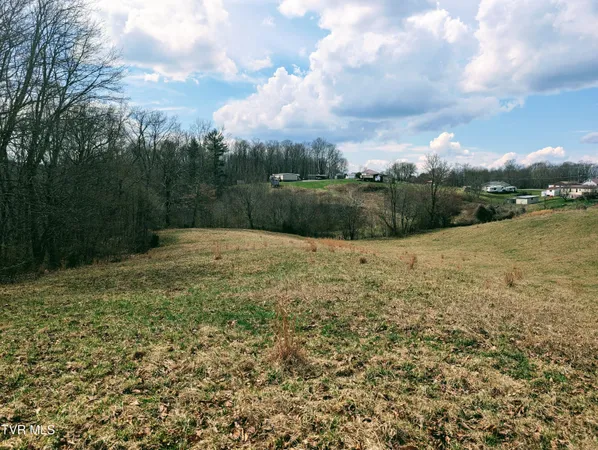 $325,000 | 8491 Dr Ralph Stanley Highway, Coeburn, VA 24230