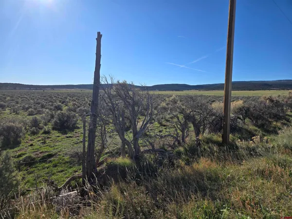 $365,000 | 16 North 16 1/2 Road, Glade Park, CO 81523