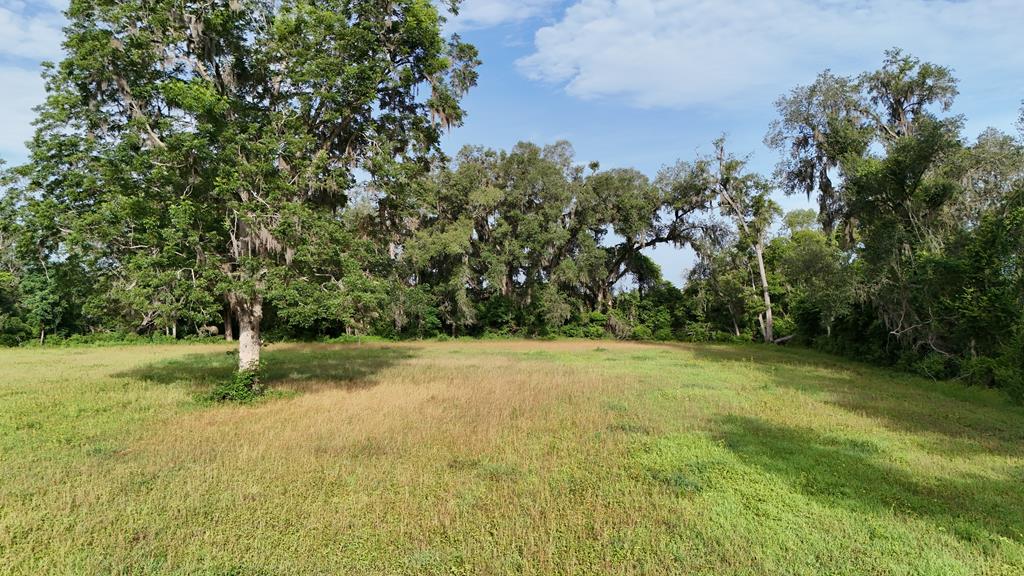Vacant 145th Road Live Oak, FL 32060 - Photo 14 of 42