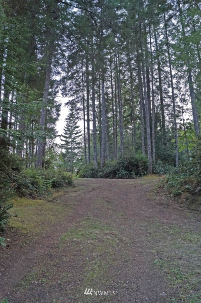 1820 East Phillips Lake Loop Road Shelton, WA 98584 - Photo 10 of 10 Gallery Image 10