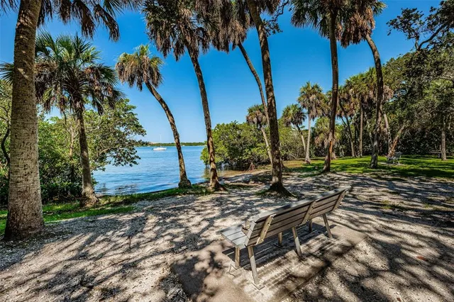 a view of park with large trees