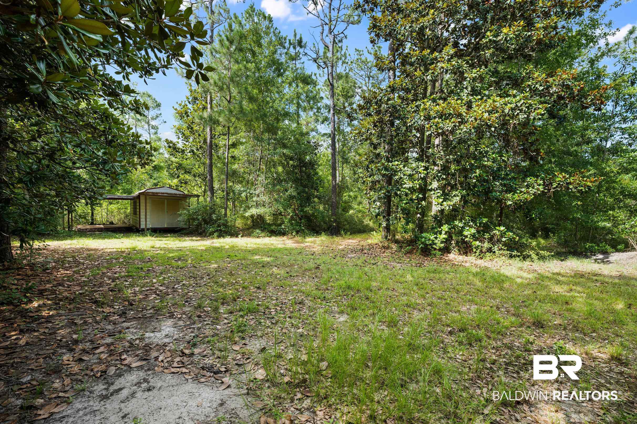 0 Eckman Road Elberta, AL 36530 - Photo 8 of 18 View of yard