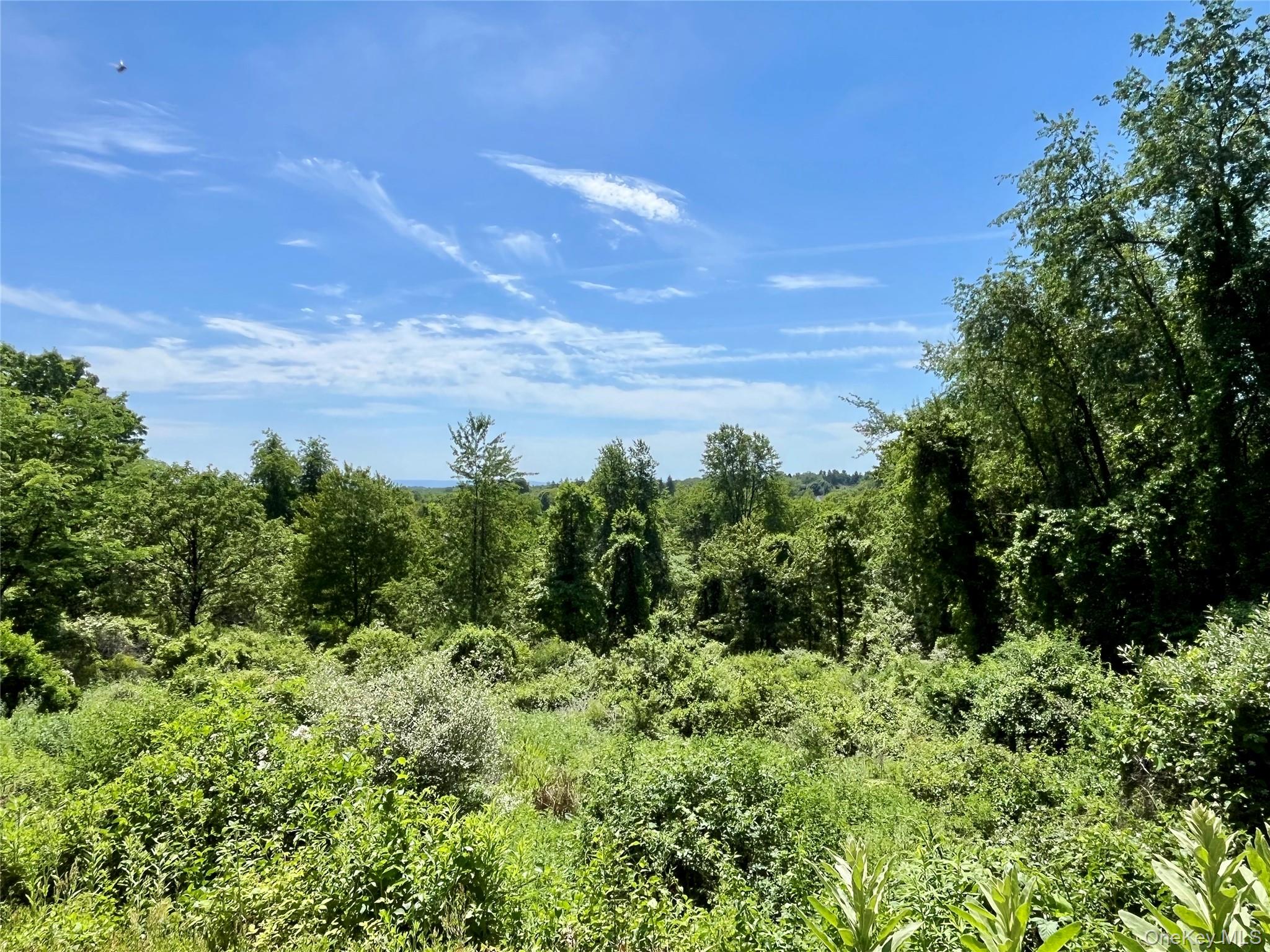 470 Ingrassia Road Middletown, NY 10940 - Photo 3 of 34