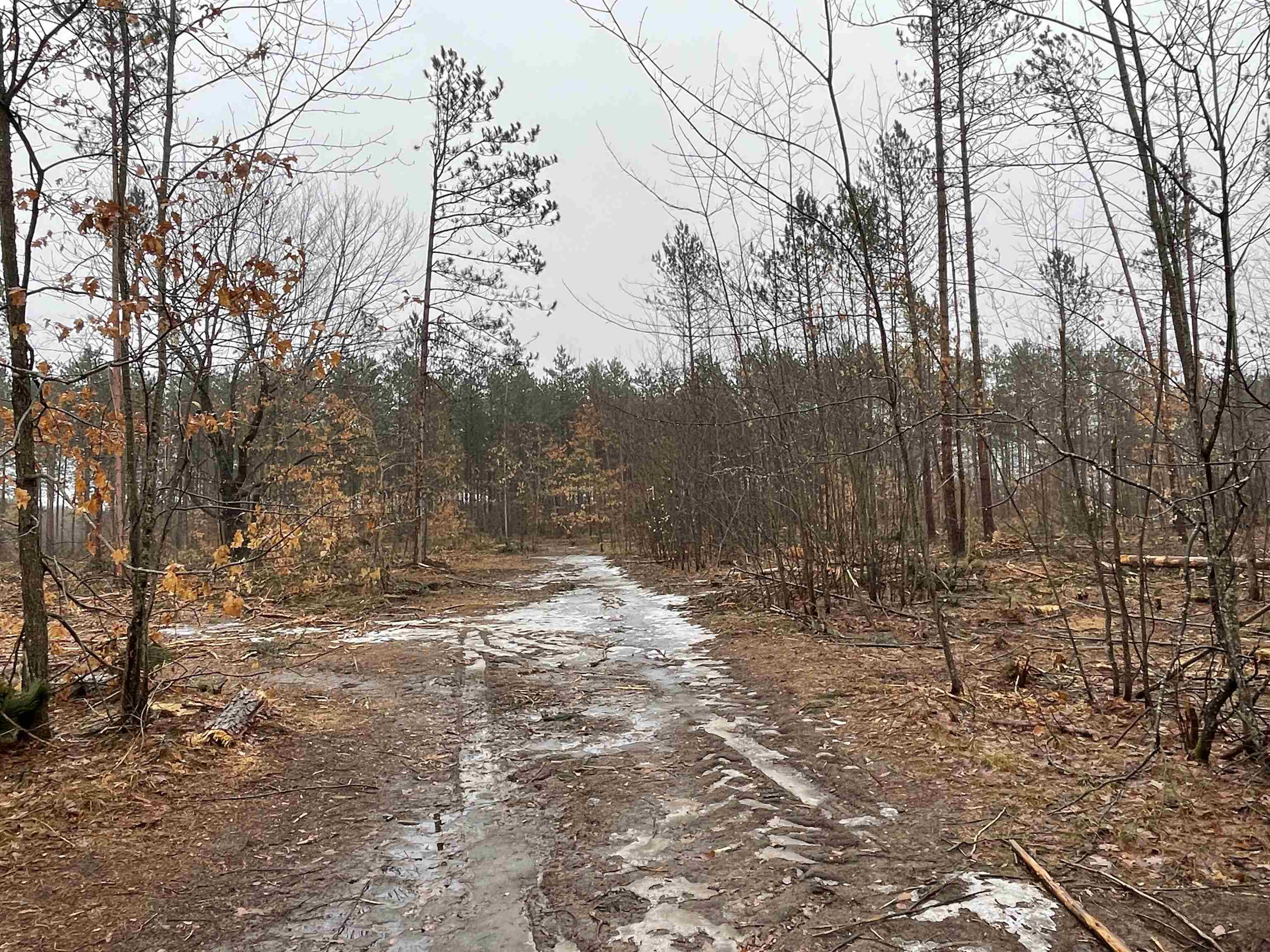 0 34 34 1/2 Road Cadillac, MI 49601 - Photo 14 of 16