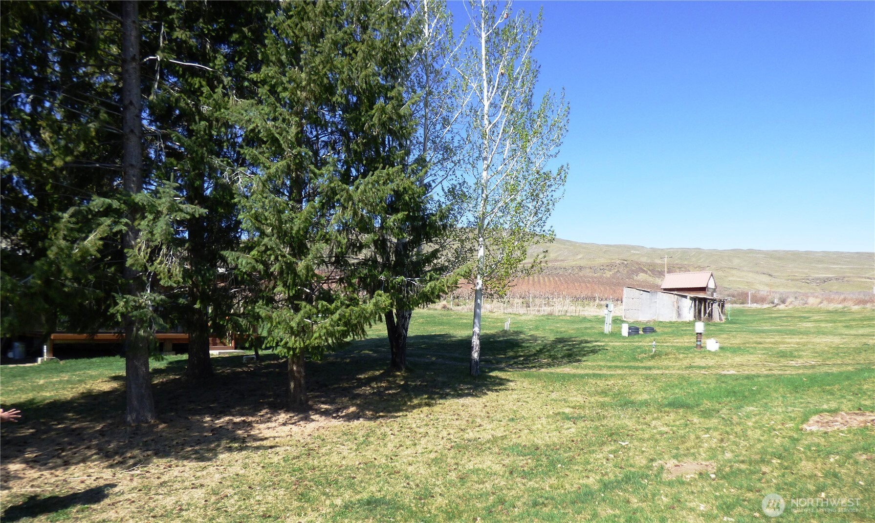 543 Jack Wells Road Bridgeport, WA 98813 - Photo 13 of 24 a backyard of a house with lots of green space