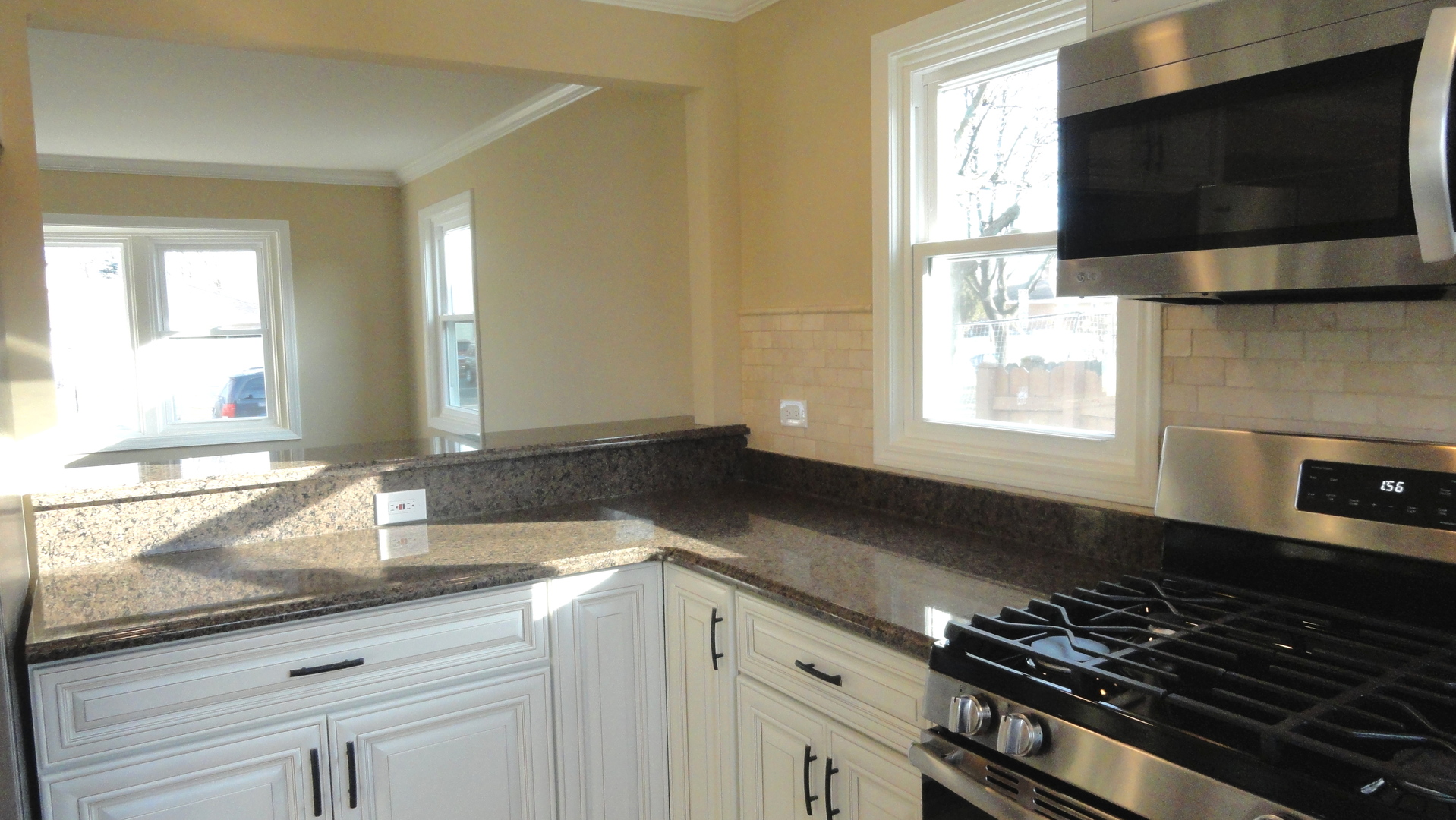 320 Iowa Avenue Addison, IL 60101 - Photo 3 of 21