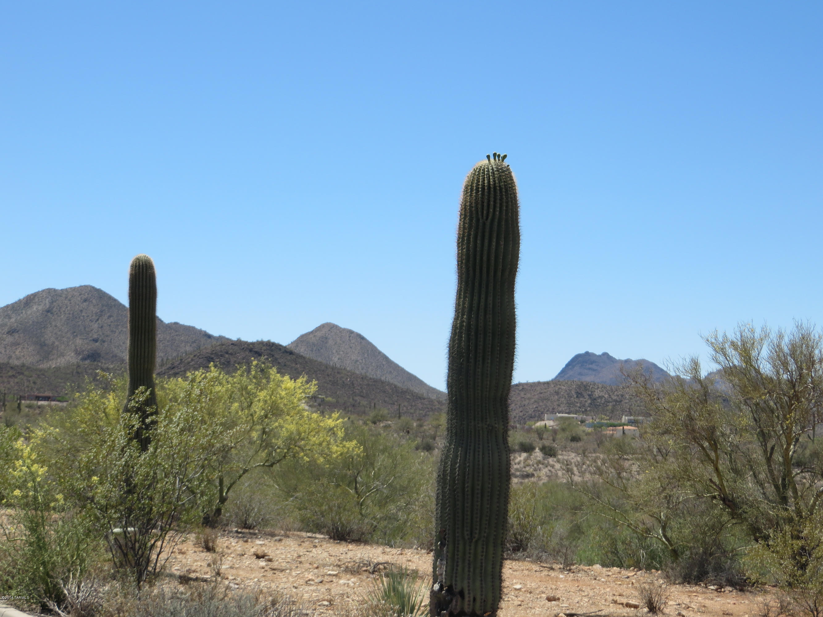 2785 West Anklam Road, Unit F Tucson, AZ 85745 - Photo 28 of 37