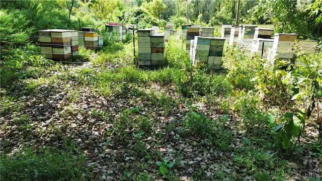 $59,900 | Lot 14.1-lot Ashe Road, Little Falls, NY 13365