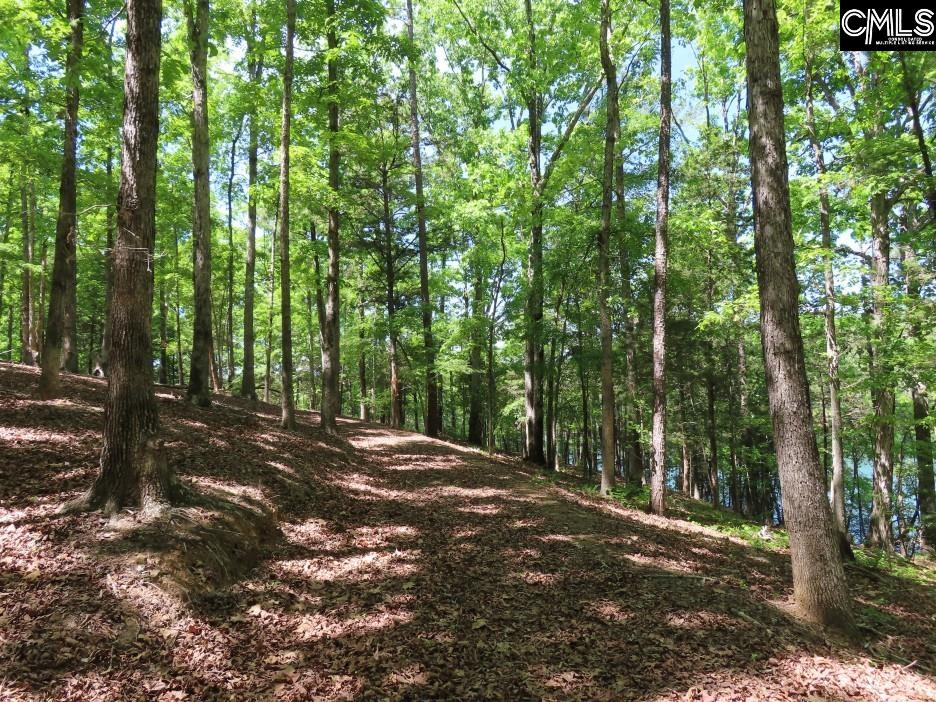 201 State Rd S-20-99 Blair, SC 29015 - Photo 49 of 61