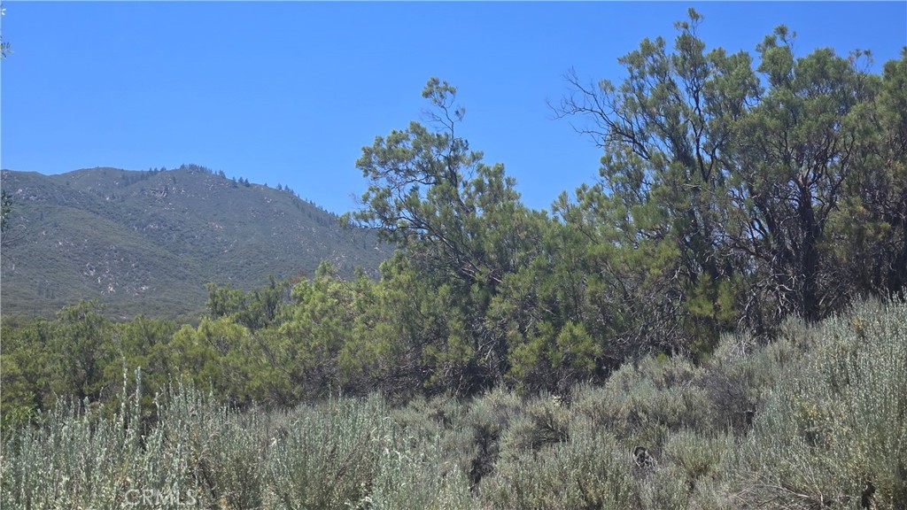 38375 Indian Road Anza, CA 92539 - Photo 3 of 8 View looking at Cahuilla Mtn to the west