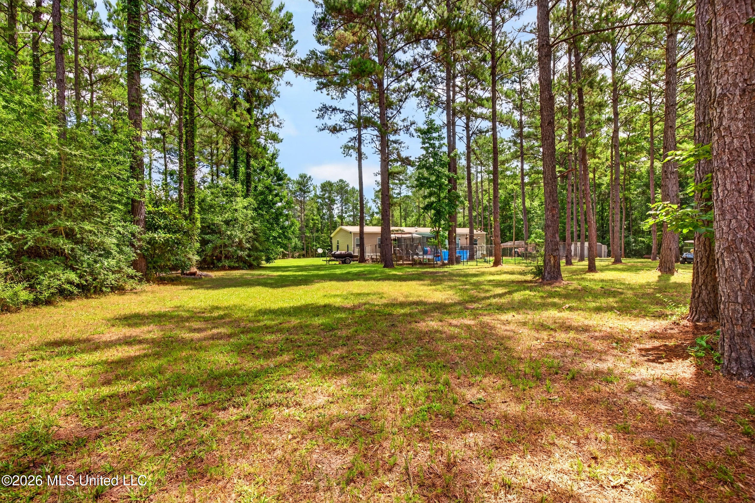 78 Game Reserve Road Columbia, MS 39429 - Photo 53 of 83 78GamerReserveRd.-47