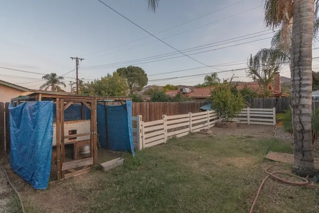 a view of a backyard with palm trees