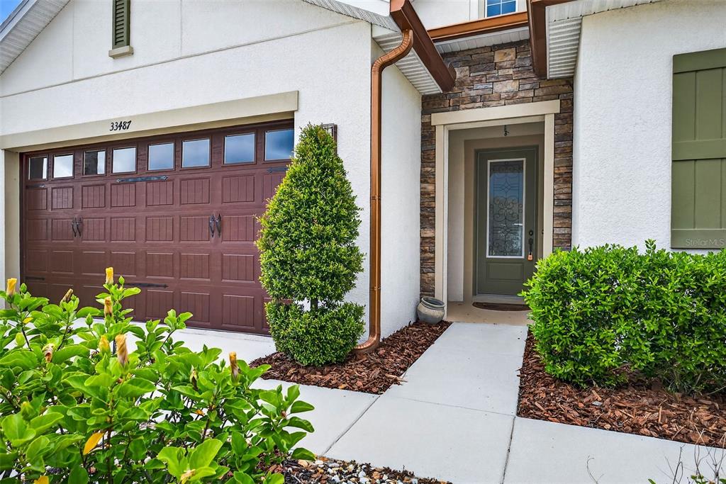33487 Azalea Ridge Drive Wesley Chapel, FL 33545 - Photo 5 of 56 a view of a house with potted plants