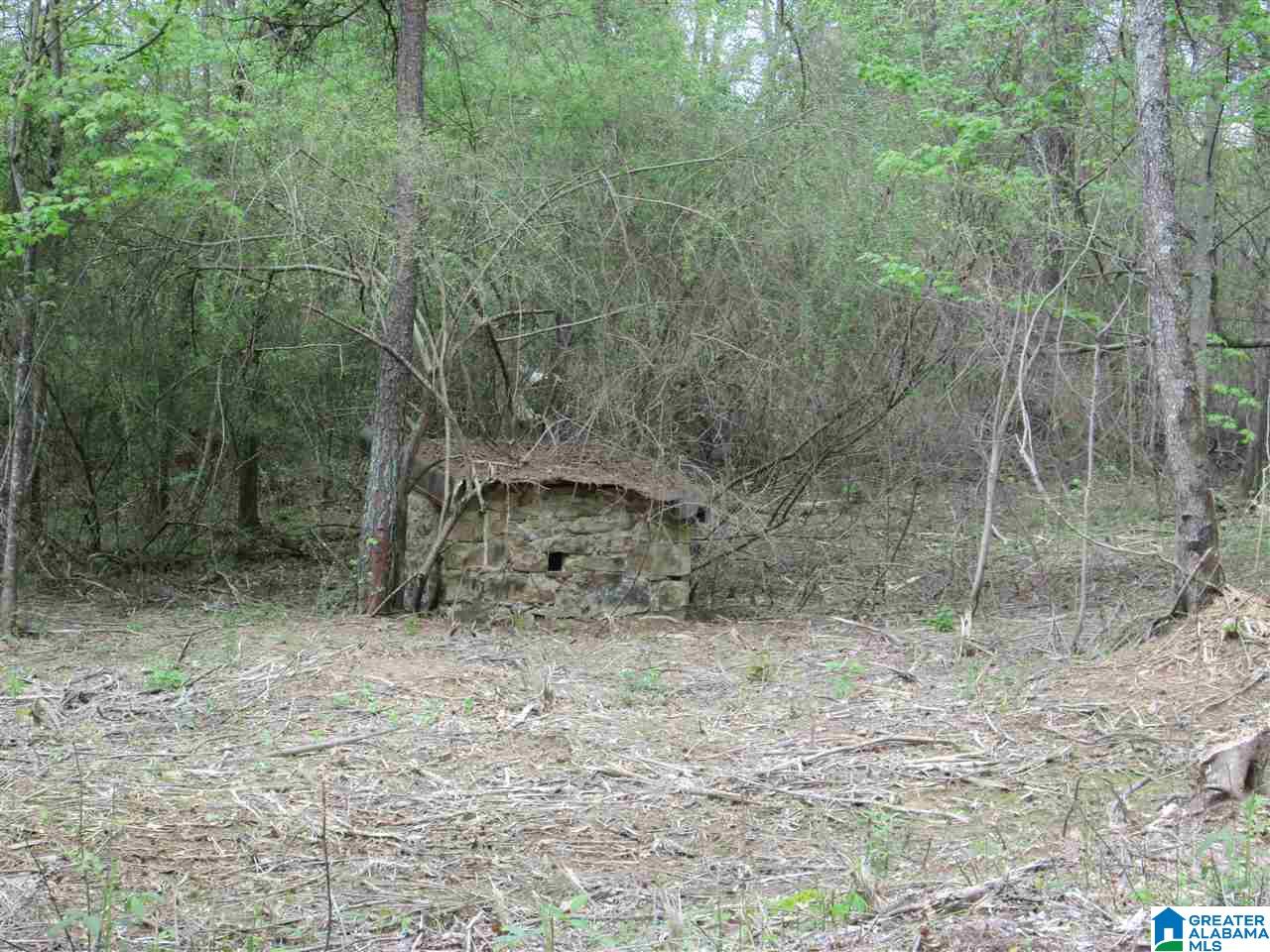 2460 Corner Road Warrior, AL 35180 - Photo 13 of 13