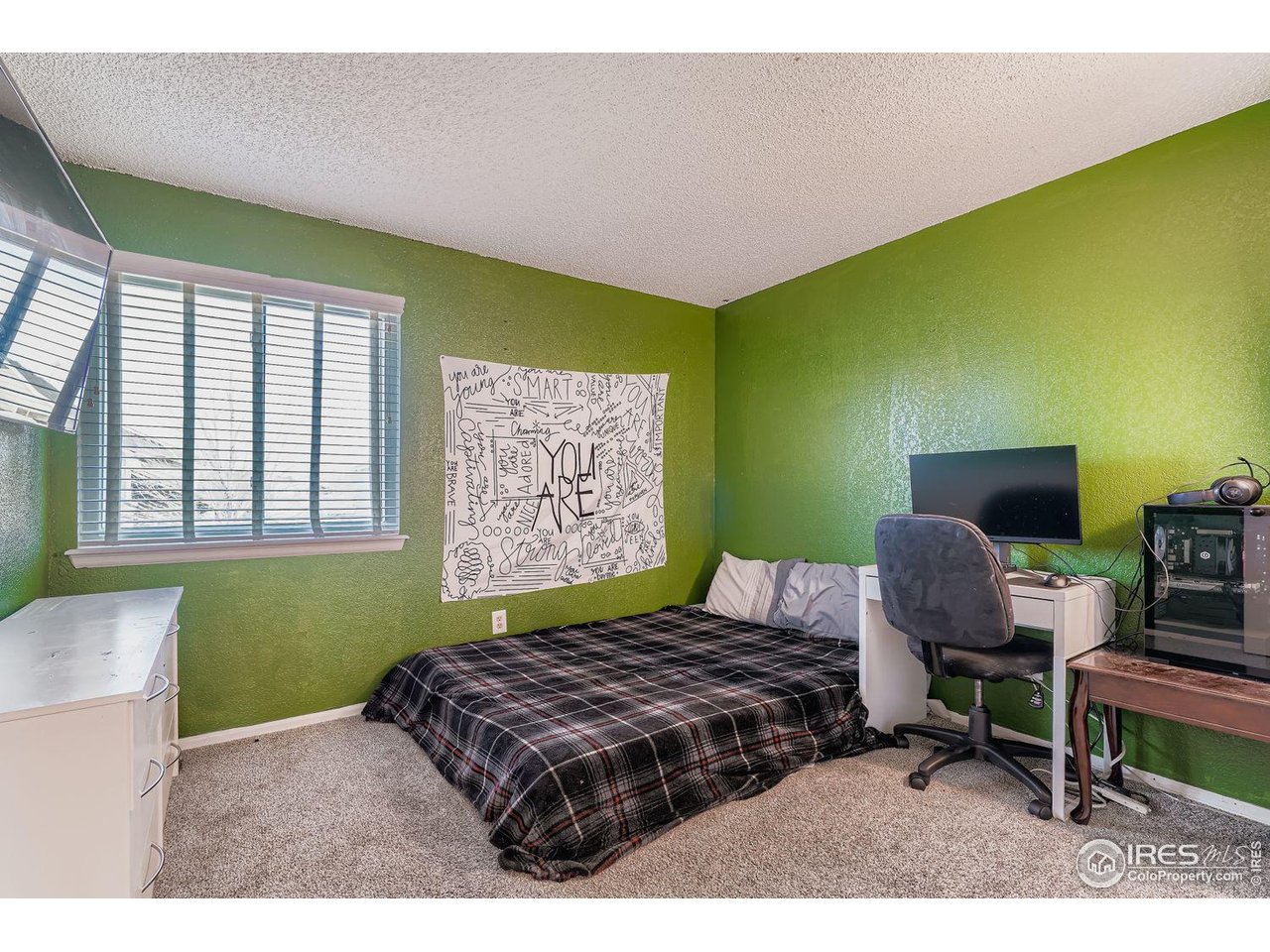 12129 Forest Street Thornton, CO 80241 - Photo 14 of 19 a living room with furniture and a window