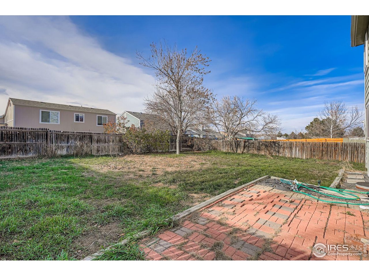 12129 Forest Street Thornton, CO 80241 - Photo 19 of 19 a backyard of a house with lots of green space