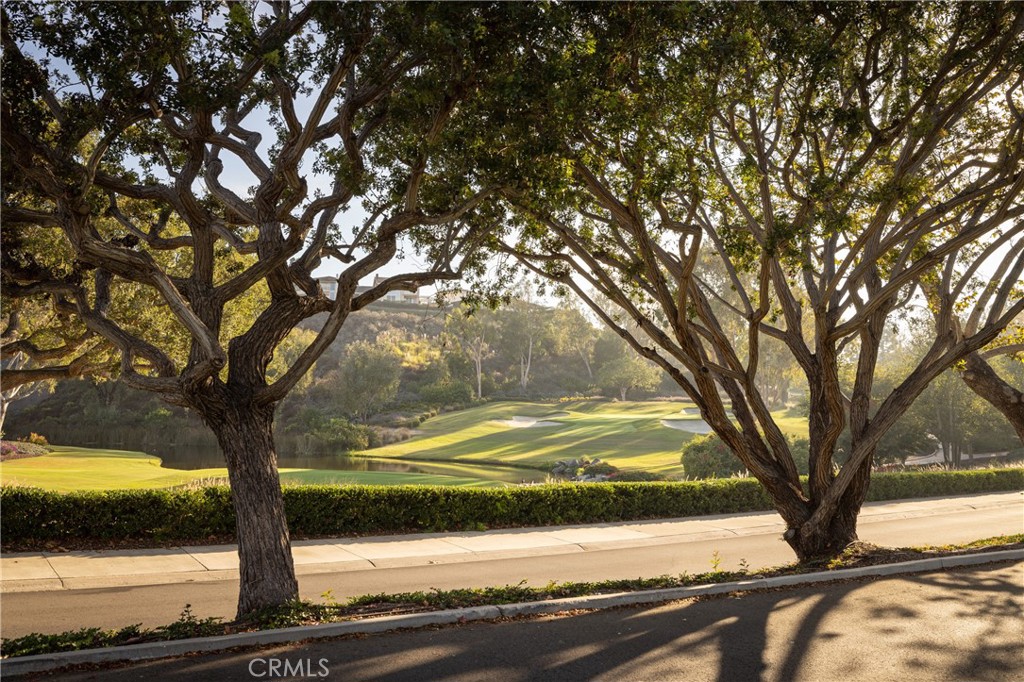 56 Royal St George Road Newport Beach, CA 92660 - Photo 47 of 49
