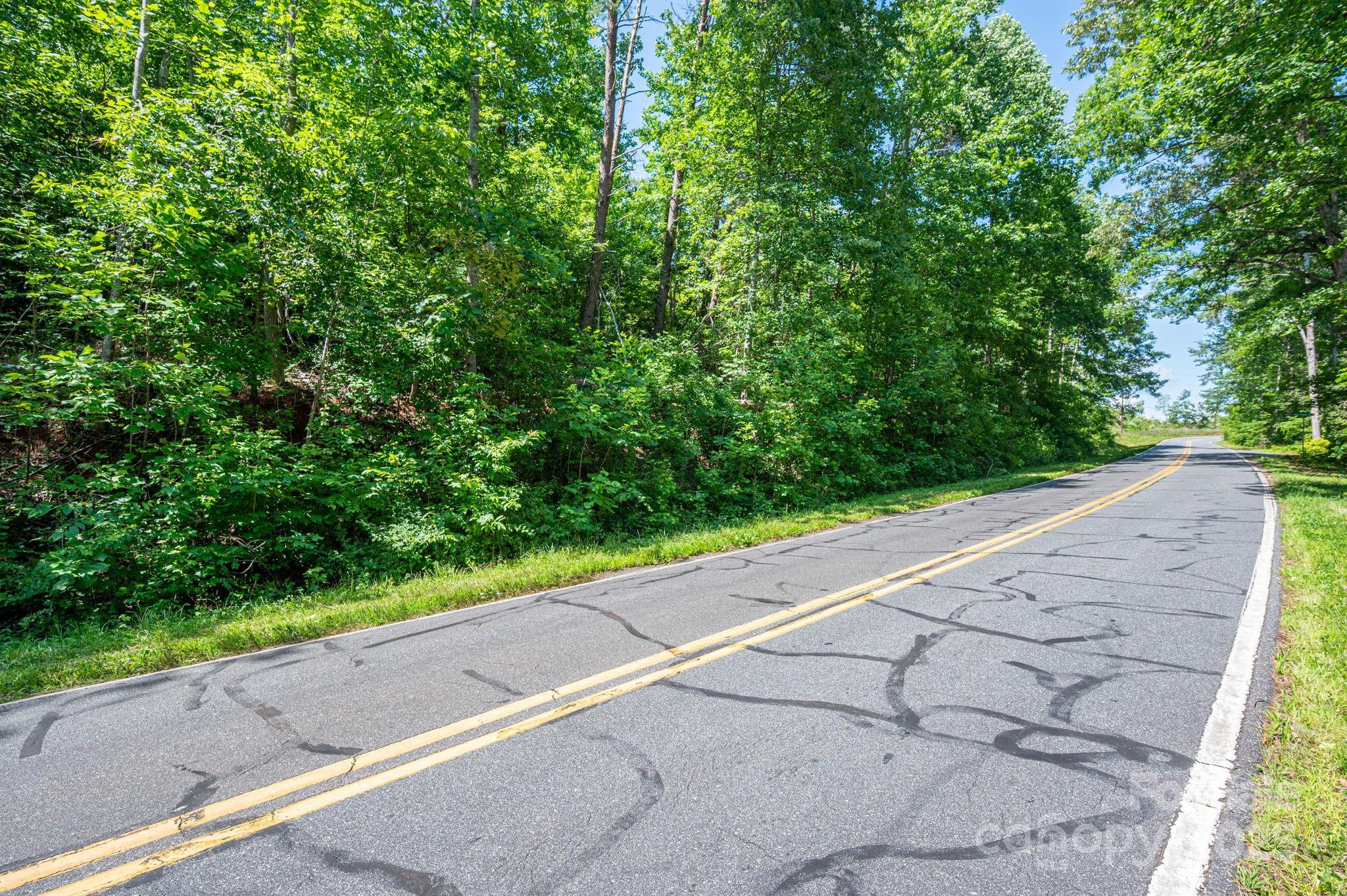 Lot 2 Cleghorn Mill Road Rutherfordton, NC 28139 - Photo 13 of 23 a view of a road with a yard