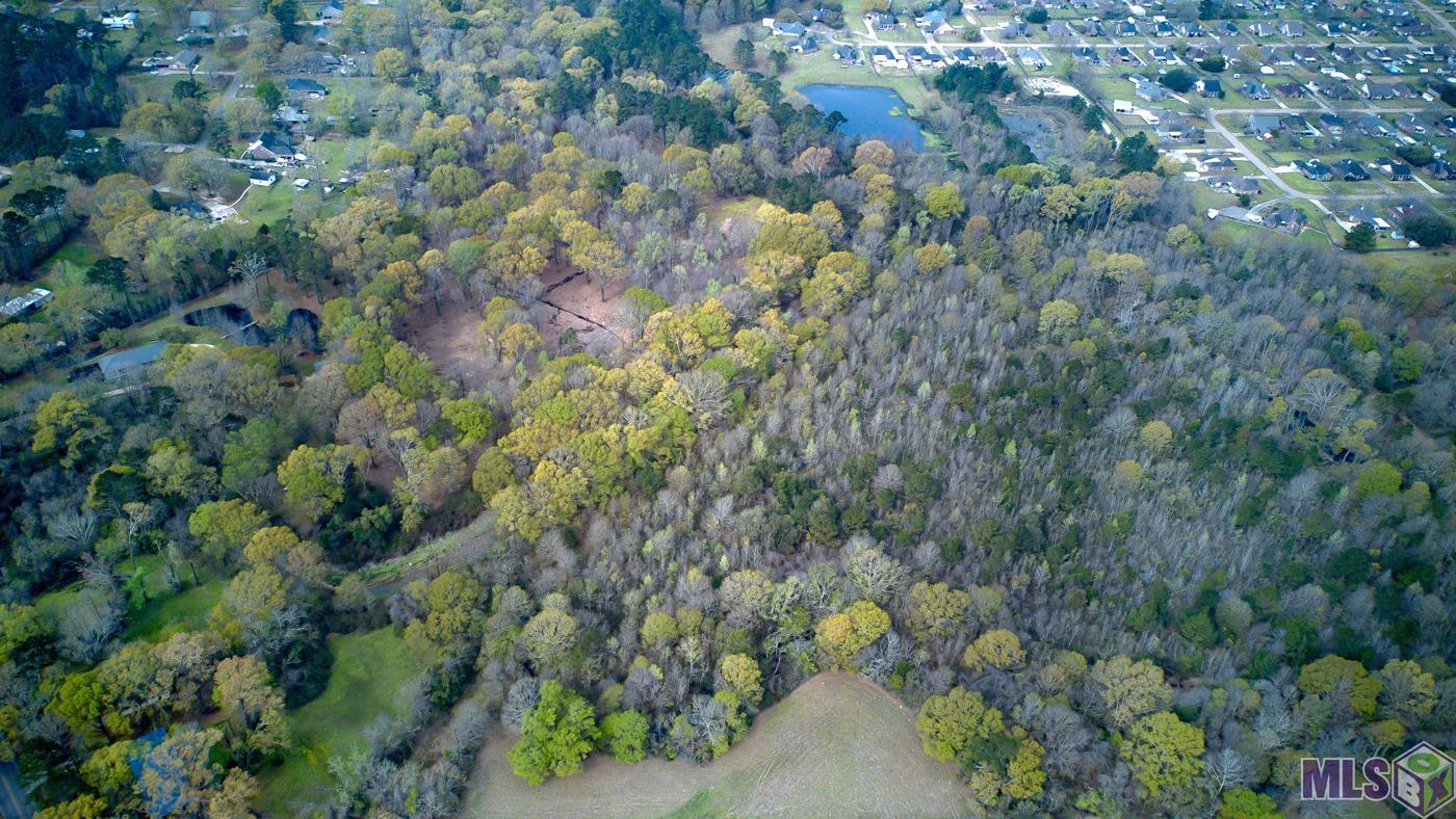 25547 Juban Road Denham Springs, LA 70726 - Photo 2 of 8