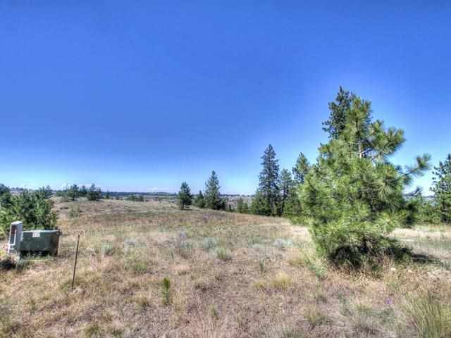 12916 West Newkirk Road Spokane, WA 99224 - Photo 3 of 14