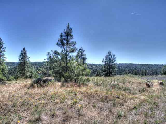 12916 West Newkirk Road Spokane, WA 99224 - Photo 5 of 14