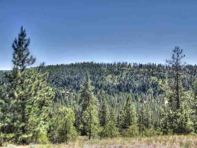 12916 West Newkirk Road Spokane, WA 99224 - Photo 8 of 14