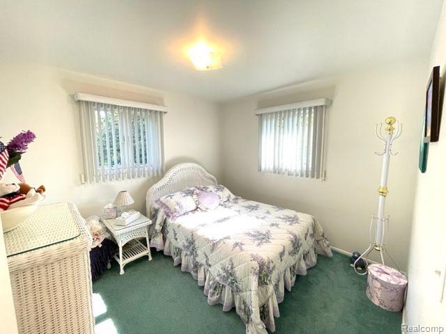 2857 Flint River Road Lapeer, MI 48446 - Photo 25 of 65