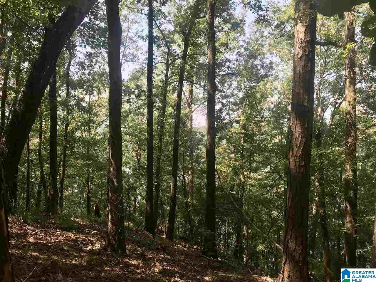 0 Sleepy Hollow Road, Unit 75 Rockford, AL 35136 - Photo 16 of 33
