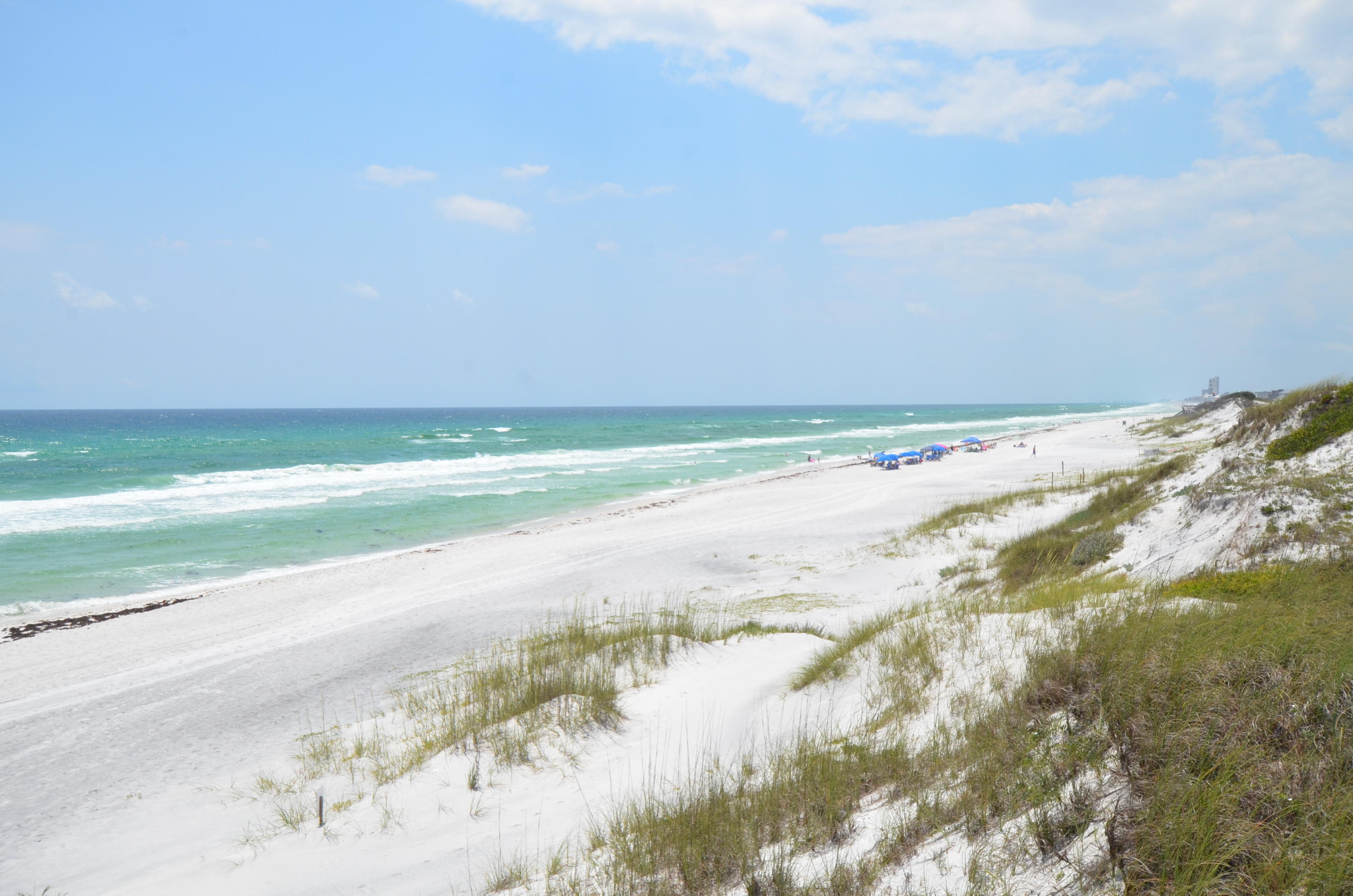 99 Compass Point Way South, Unit 201 Inlet Beach, FL 32461 - Photo 49 of 56 a view of a lake and a yard