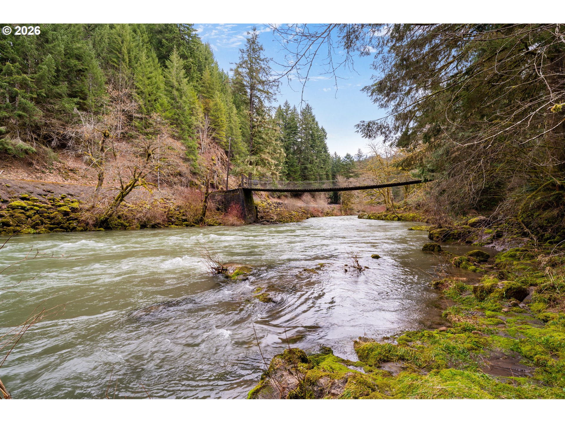 110 Wooden Bridge Road Kalama, WA 98625 - Photo 40 of 48 a view of yard