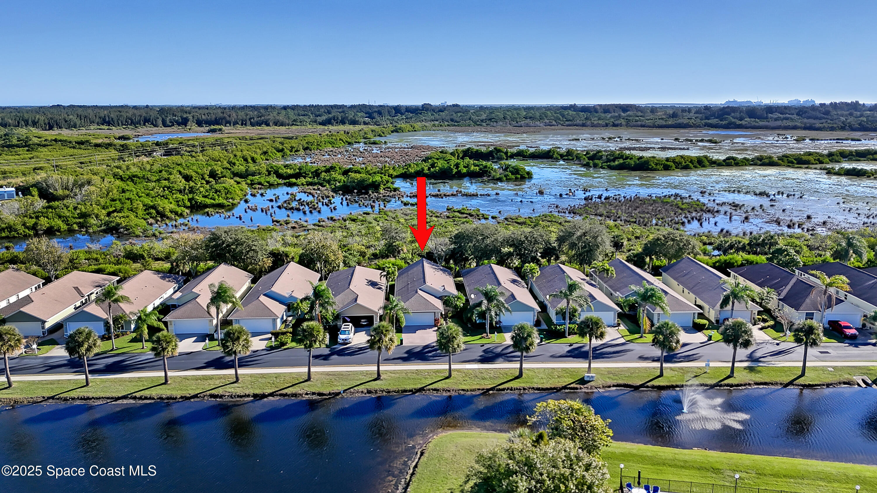 4271 Timothy Drive Merritt Island, FL 32953 - Photo 36 of 49 Palm Trees