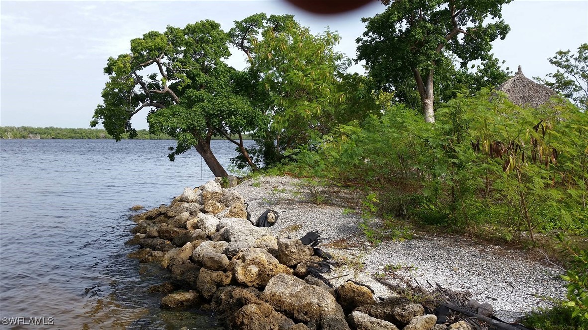 Little Shell Island Fort Myers, FL 33908 - Photo 11 of 26 a view of a forest with trees
