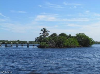 Little Shell Island Fort Myers, FL 33908 - Photo 14 of 26 a view of a field with trees in background
