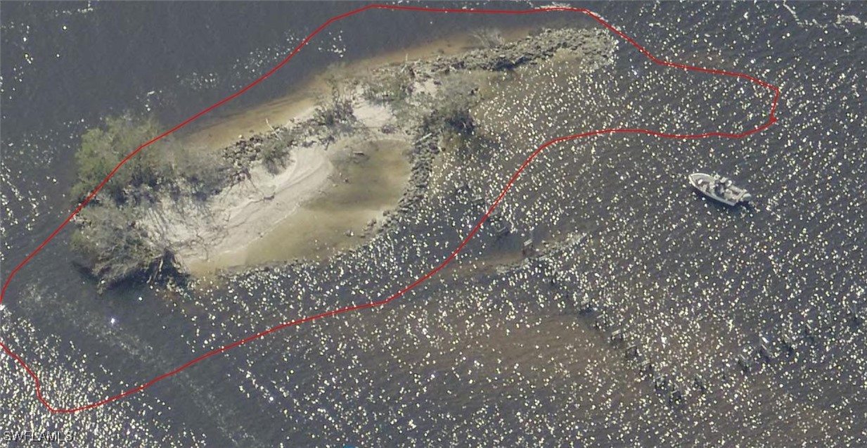 Little Shell Island Fort Myers, FL 33908 - Photo 3 of 26 a close up of a tree in a yard