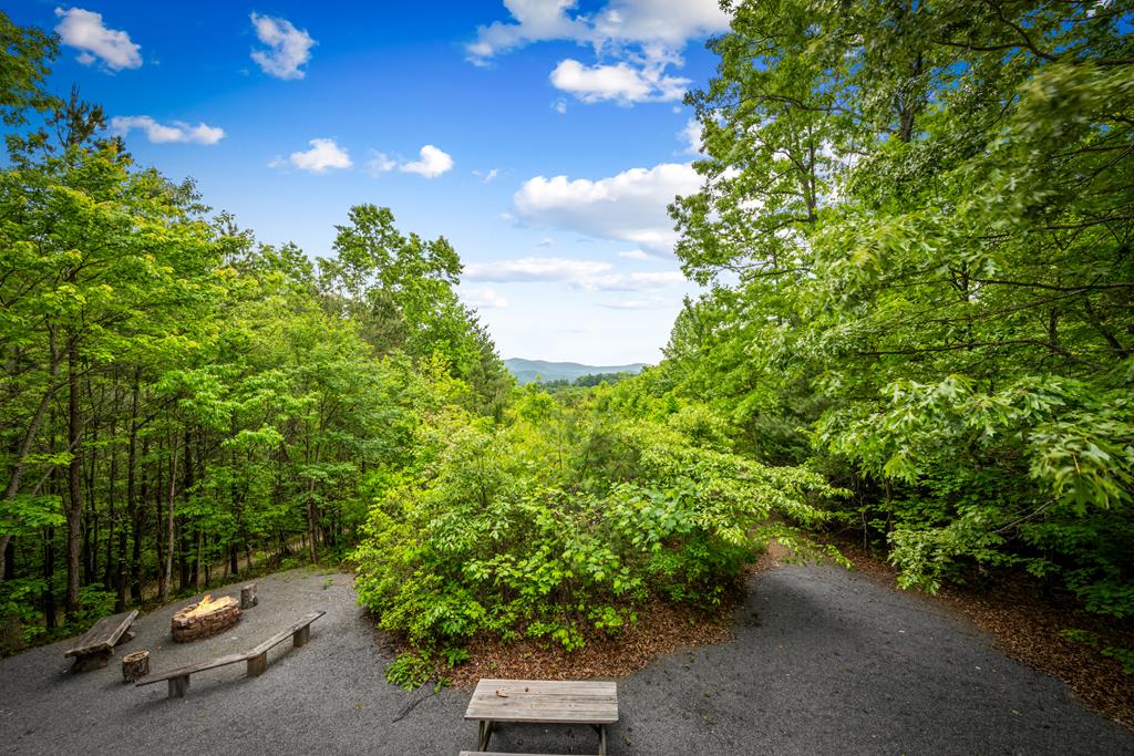 28 Hawkeye Ridge Blue Ridge, GA 30513 - Photo 18 of 104 Gallery Image 18