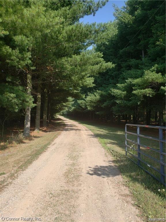 2845 Burr Road Applegate, MI 48401 - Photo 5 of 53