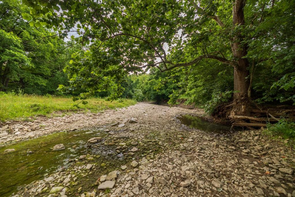 13277 Norris Road Rayville, MO 64084 - Photo 28 of 55