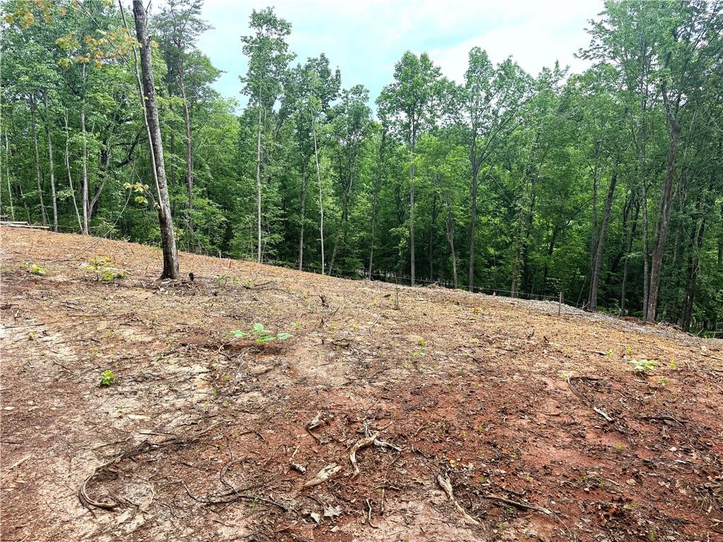 329 River Highlands Road Dahlonega, GA 30533 - Photo 5 of 9