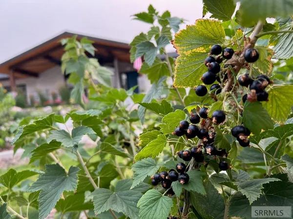 $730,000 | 460 Rolling Hills Drive, Rexburg, ID 83440