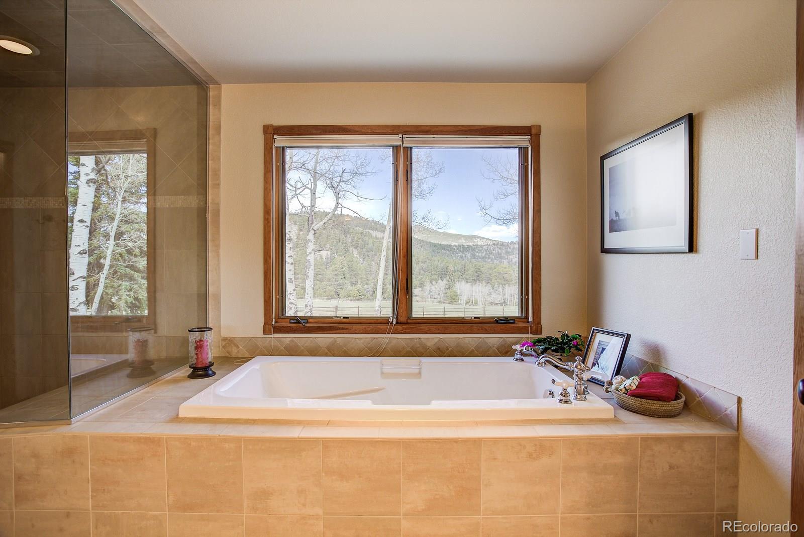 32576 Buffalo Park Road Evergreen, CO 80439 - Photo 22 of 35 Gallery Image 22