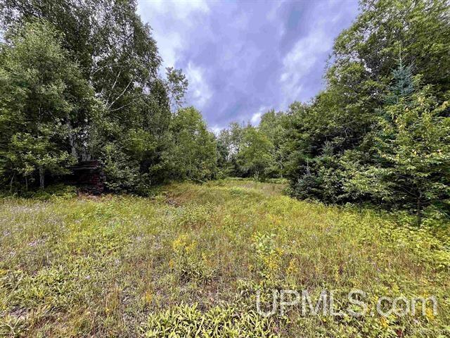 9692 North Laird Road Pelkie, MI 49958 - Photo 41 of 44