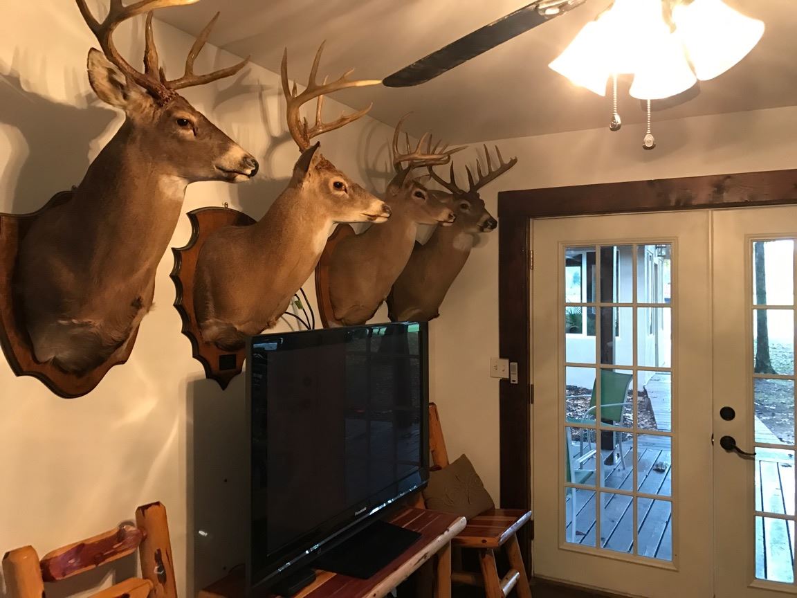 0 Hall Road Sharon Grove, KY 42280 - Photo 13 of 19 Gallery Image 13