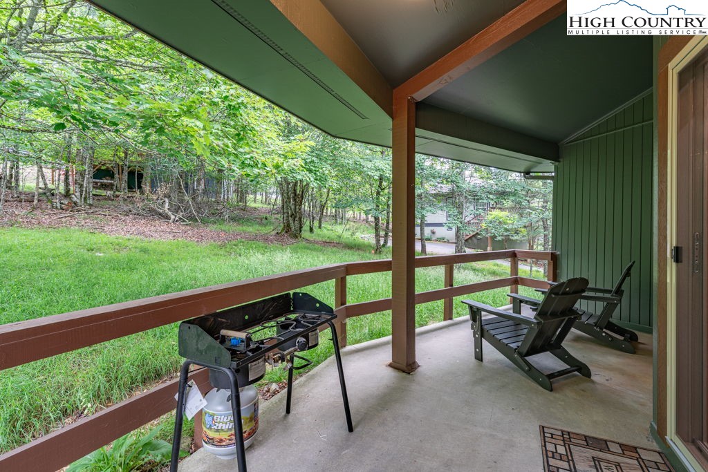 103 Raven Road Beech Mountain, NC 28604 - Photo 37 of 49 Gallery Image 37