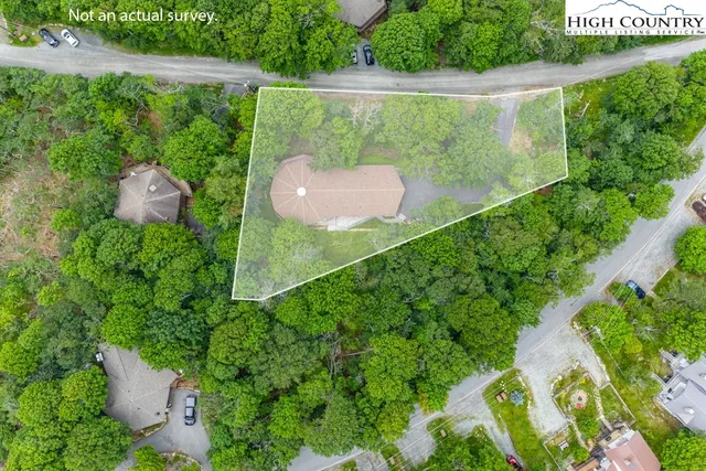 a view of a garden from a bench