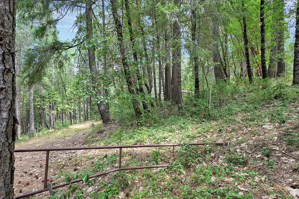 a view of a backyard