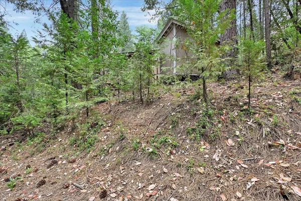 a view of a plants of a house