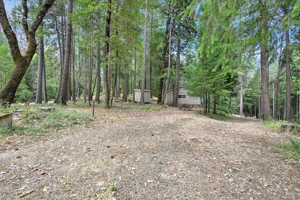 a view of outdoor space with trees