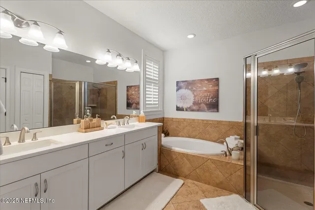 a view of a yard with plants and a large tree