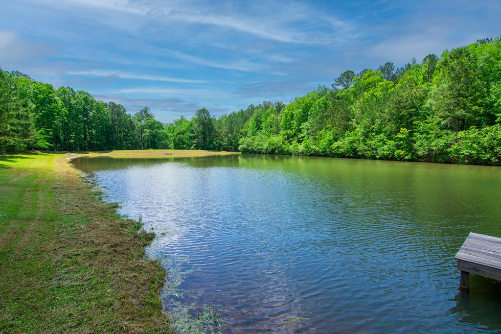 998 Pine Lake Road West Point, GA 31833 - Photo 40 of 58 Gallery Image 40