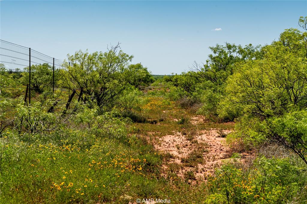 600 St Haskell Tx 79521 Haskell, TX 79521 - Photo 14 of 25 View of local wilderness